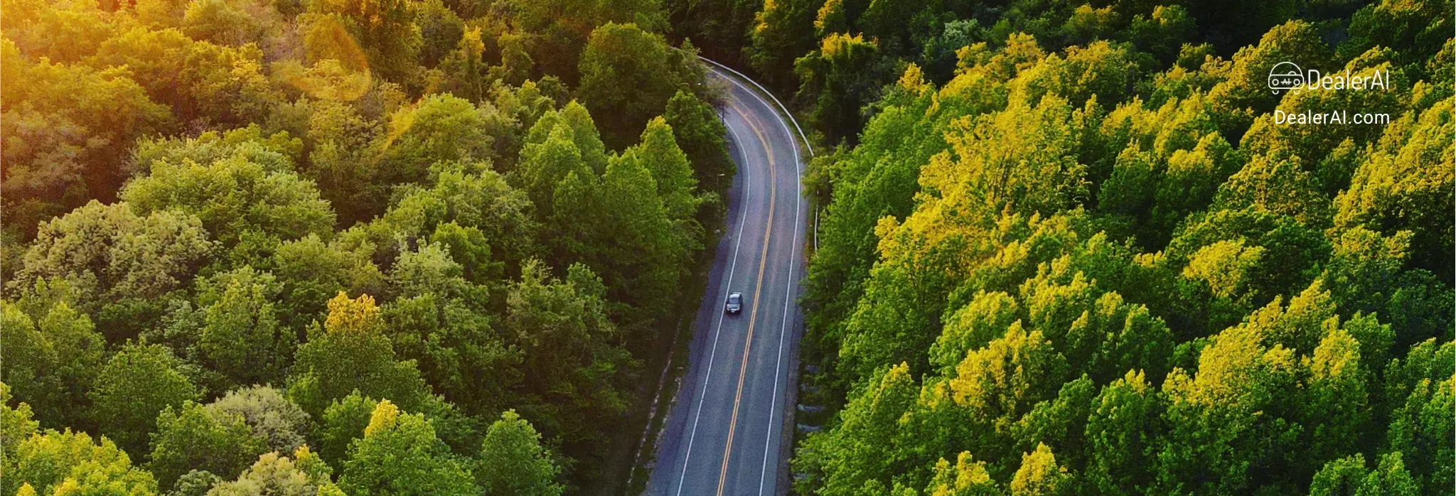 Choosing your lane: Analyzing customer support options for dealerships